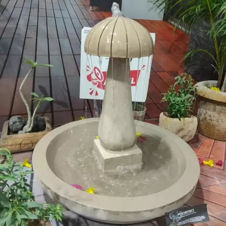 Vastu Tips for Placing Water Fountain at Home